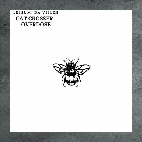 Lessum, Da Villeh - Cat Crosser Overdose [NSD014]